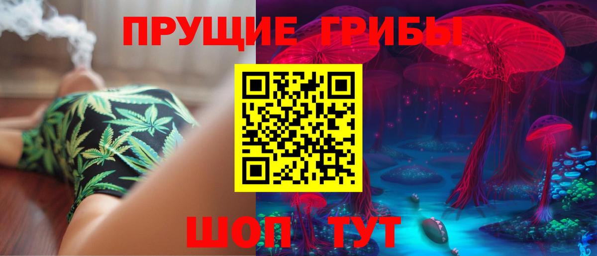 Псилоцибиновые грибы Psilocybe Архангельск